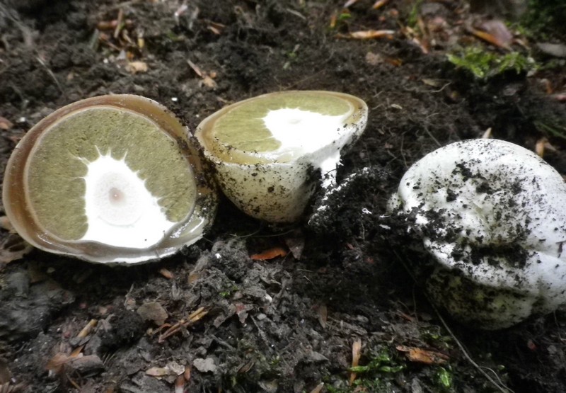 Palline con sorpresa